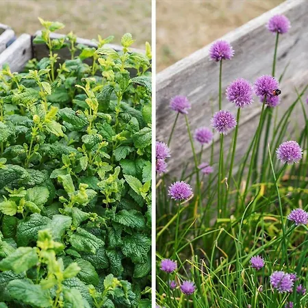 Lf12183-vinderup-avej-28